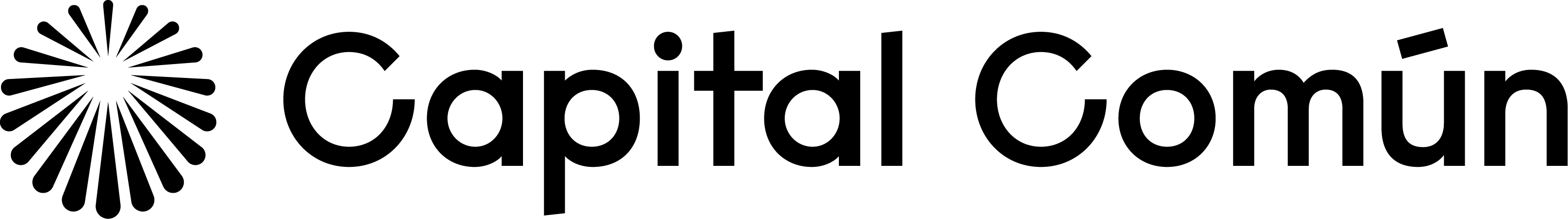 Capital Común